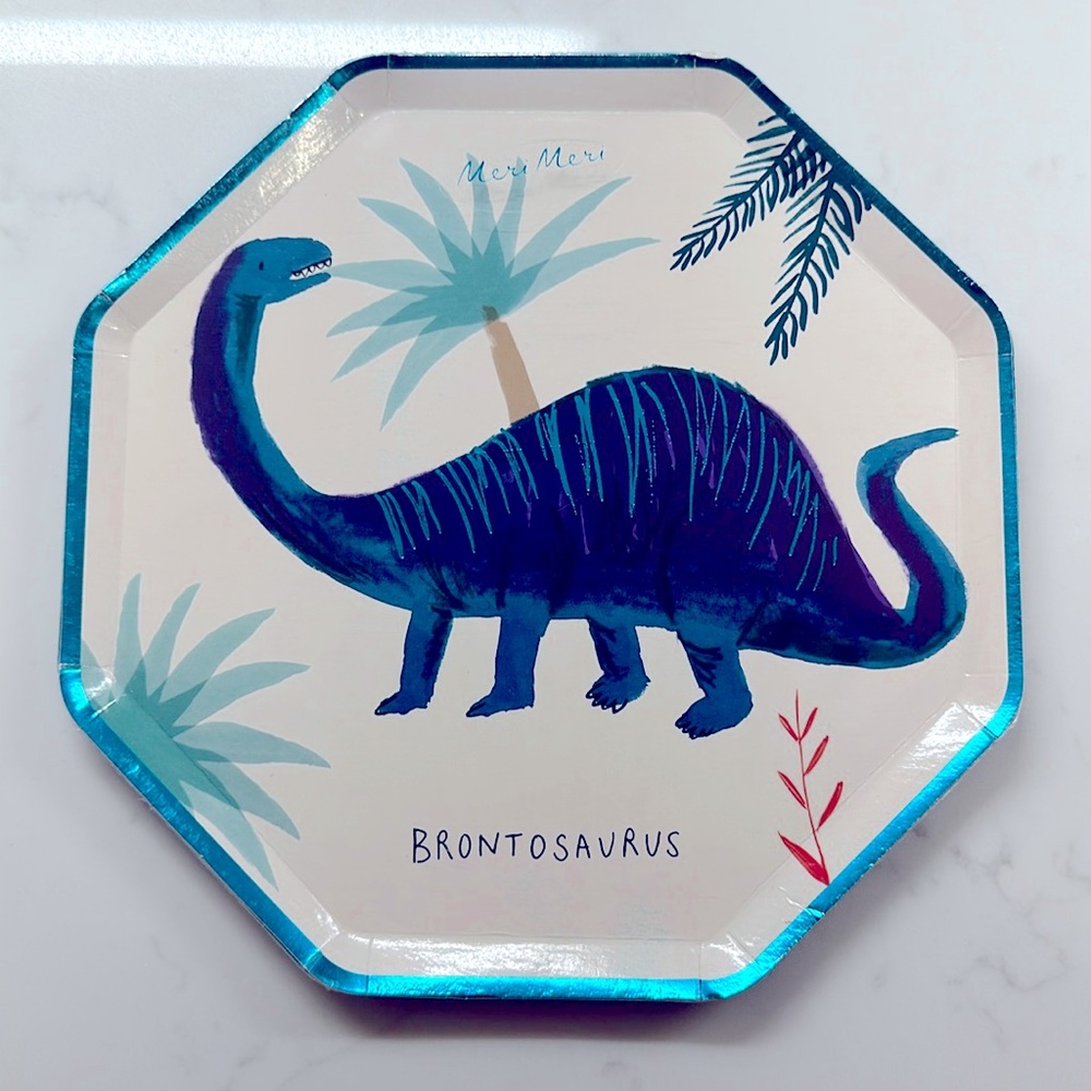 Meri Meri Dinosaur Party Plates